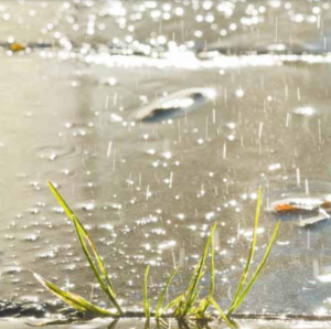 Photographie représentant de l'eau de pluie